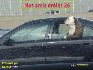 nos_amis_droles_26_michel