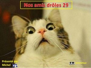 nos_amis_droles_29_michel