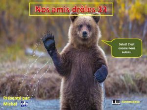 nos_amis_droles_33_michel