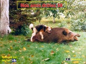 nos_amis_droles_38_michel