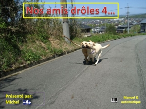 nos_amis_droles_4_michel