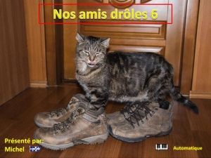 nos_amis_droles_6_michel