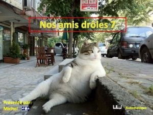 nos_amis_droles_7_michel