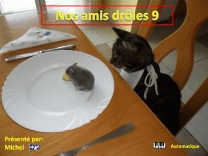 nos_amis_droles_9_michel