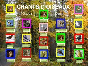 oiseaux_chant