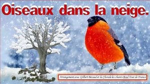 oiseaux_dans_la_neige_maumau