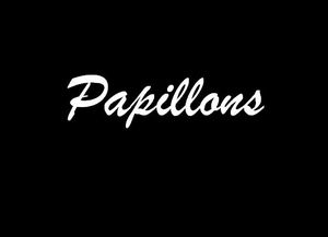 papillons_2