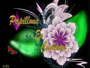 papillons_en_couleurs_dede_51