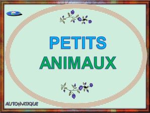 petits_animaux_chantha