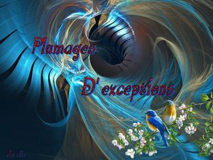plumages_d_exceptions_dede_51