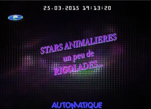 stars_animalieres_chantha