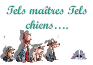 tels_maitres_tels_chiens_mimi_40