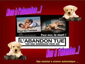 un_animal_ne_pleure_pas