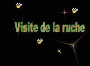 visite_de_la_ruche