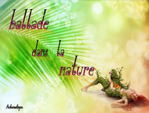 ballade_dans_la_nature_dede_51