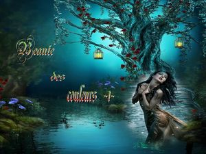 beaute_des_couleurs_2_dede51