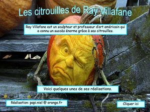 citrouilles_de_villafane_papiniel