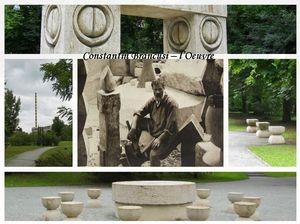 constantin_brancusi_l_oeuvre_stellinna