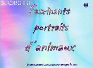 fascinants_portraits_d_animaux_chantha