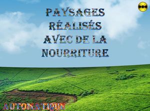 paysages_realises_avec_de_la_nourriture_chantha