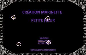 petite_fleur_marinette