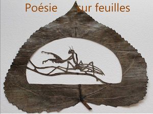 poesie_sur_feuilles_1