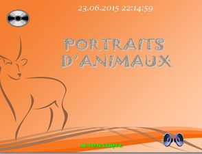 portraits_d_animaux_chantha