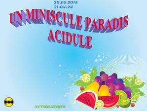 un_minuscule_paradis_acidule_chantha