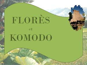 flores_et_komodo_marijo