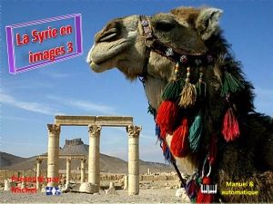 la_syrie_en_images_3_michel