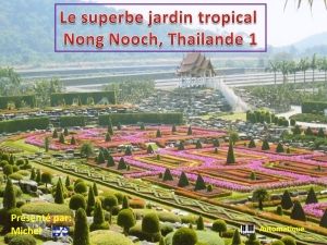 le_superbe_jardin_tropical_nong_nooch_thailande_1_michel