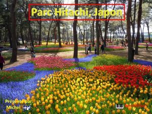 parc_hitachi__japon_michel