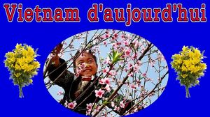 vietnam_d_aujourd_hui_maumau