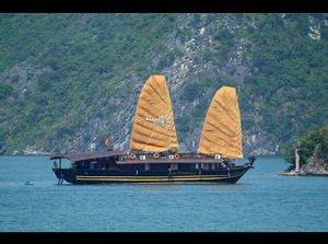 vietnam_et_ses_residents_by_ibolit