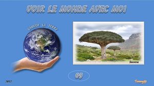 voir_le_monde_9_yemen_socotra_tommy55