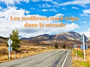 les_meilleurs_road_trips_dans_le_monde_pancho