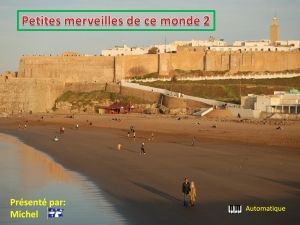 petites_merveilles_de_ce_monde_2_michel