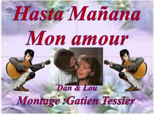 hasta_manana_mon_amour__dan_lou