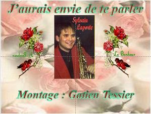 j_aurais_envie_de_te_parler__sylvain_laporte