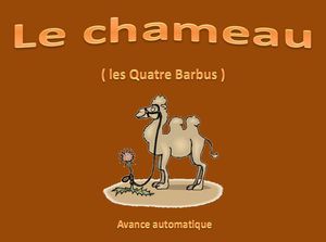 le_chameau_papiniel