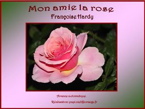 mon_amie_la_rose_papiniel