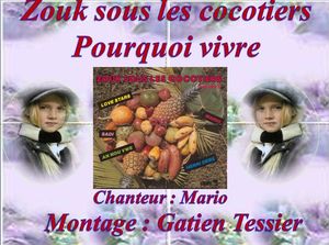 pourquoi_vivre__zouk_sous_les_cocotiers