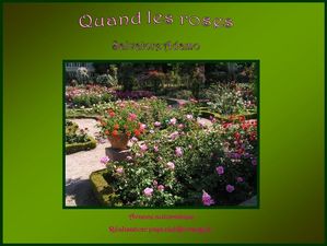 quand_les_roses_papiniel