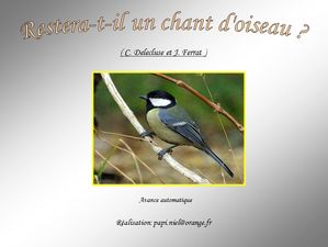 restera_t_il_un_chant_d_oiseau_papiniel