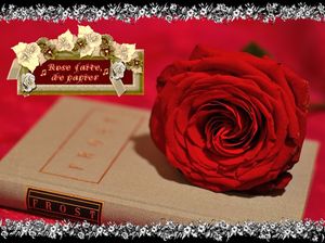 rose_faite_de_papier_fabie_07_17