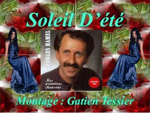 soleil_d_ete__georges_hamel