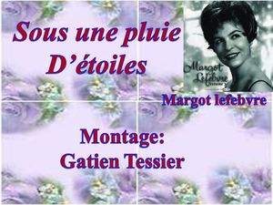 sous_une_pluie_d_etoiles_margot_lefebvre 