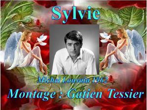 sylvie__michel_louvain