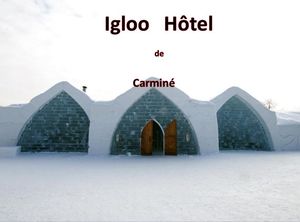 igloo_hotel__carmine