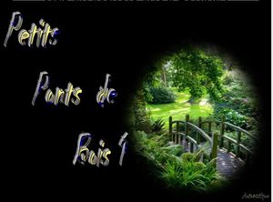 petits_ponts_de_bois_1_dede_51